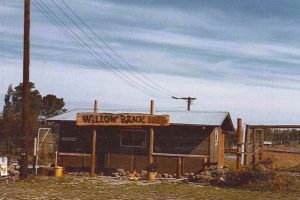 Christchurch attraction celebrates 50 years